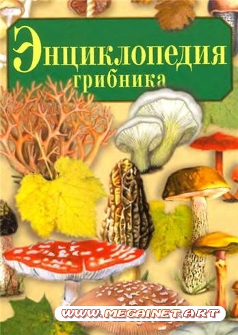 Энциклопедия грибника. Где собирать грибы.