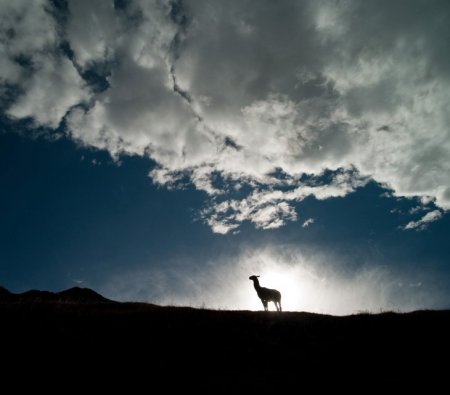 Конкурс фотографии National Geographic 2010