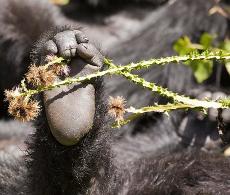 Конкурс фотографии National Geographic 2010