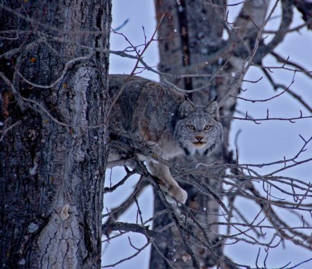 Конкурс фотографии National Geographic 2010