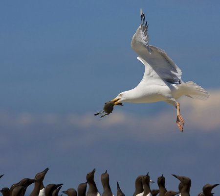 Конкурс фотографии National Geographic 2010