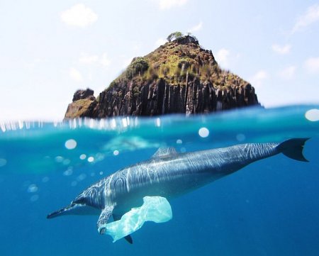 Конкурс фотографии National Geographic 2010