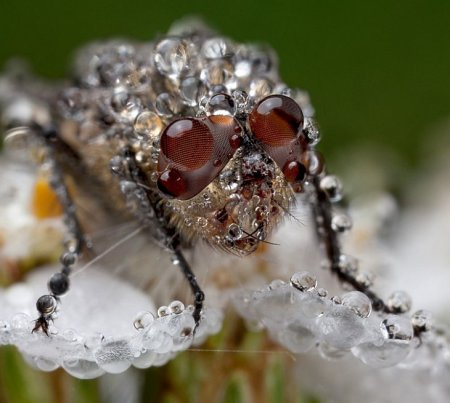 Конкурс фотографии National Geographic 2010