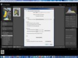 Adobe Photoshop Lightroom 3.3 Final (2010/ENG)