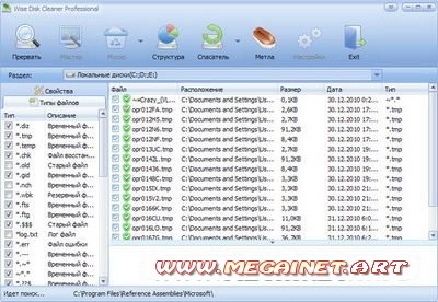 Wise Disk Cleaner Professional 5.82 Build 266