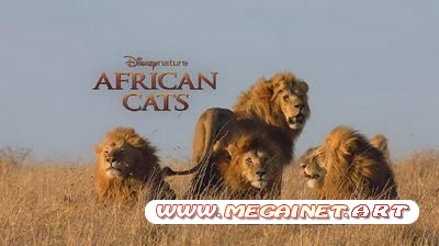 African Cats. Disneynature. Трейлер к фильму