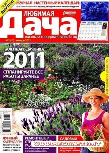 Любимая дача - Январь 2011