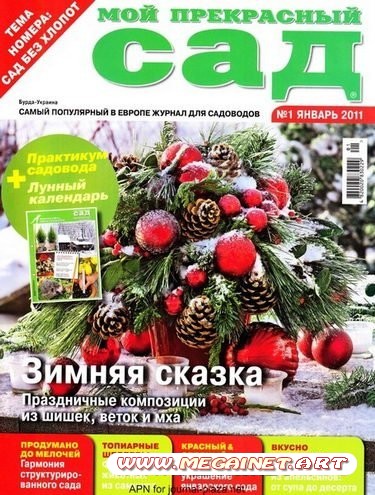 Мой прекрасный сад - Январь 2011