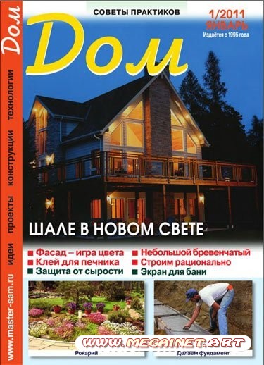 Дом - Январь 2011