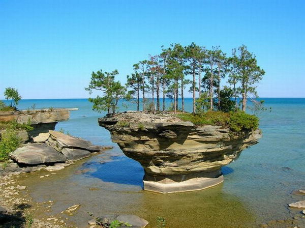 Прекрасная скала Тёрнип ( фото )