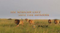 African Cats. Disneynature. Трейлер к фильму