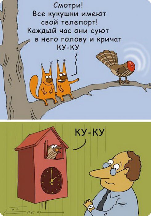 Улыбнитесь: Подборка карикатур