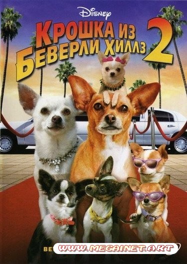 Крошка из Беверли-Хиллз 2 (2011) DVDRip для PSP