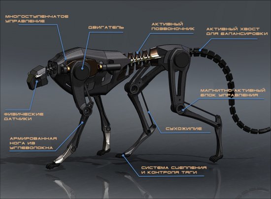 Роботы от Boston Dynamics ( обзор / фото / видео )