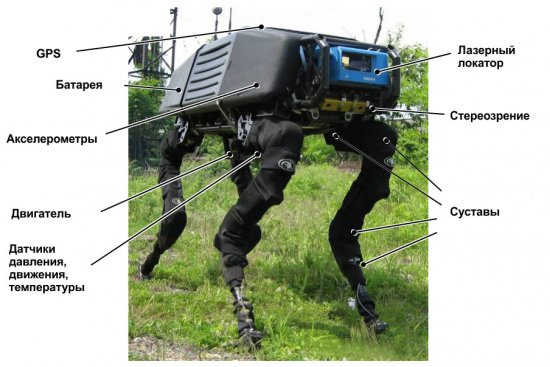 Роботы от Boston Dynamics ( обзор / фото / видео )