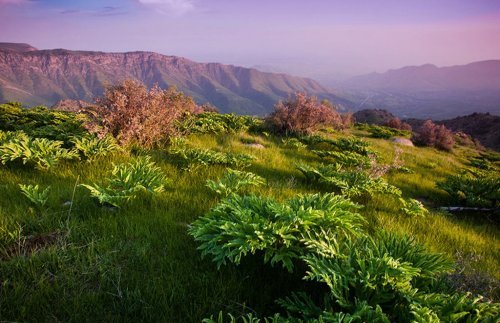 Узбекистан ( фото )