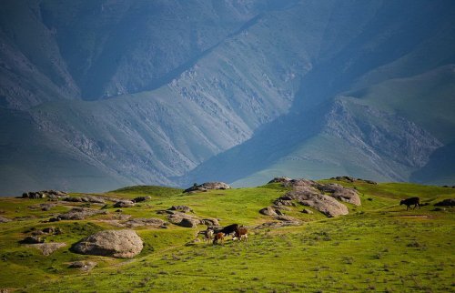 Узбекистан ( фото )