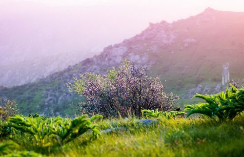 Узбекистан ( фото )