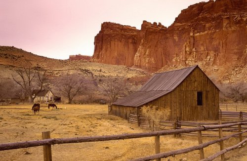 Национальный парк Капитол Риф ( Capitol Reef National Park )