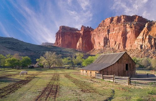 Национальный парк Капитол Риф ( Capitol Reef National Park )