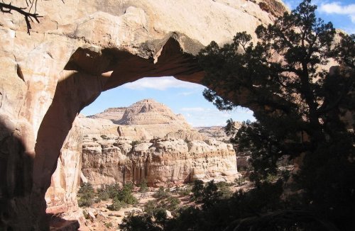 Национальный парк Капитол Риф ( Capitol Reef National Park )