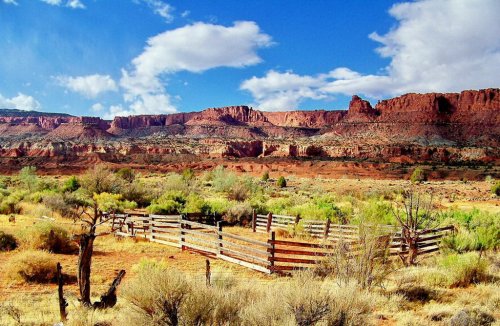 Национальный парк Капитол Риф ( Capitol Reef National Park )