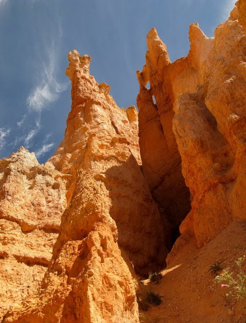 Национальный парк Капитол Риф ( Capitol Reef National Park )