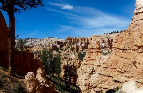 Национальный парк Капитол Риф ( Capitol Reef National Park )