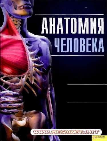 Анатомия человека. Иллюстрированный атлас ( 2011 )