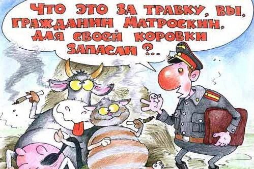 Позитив - Смешные карикатуры