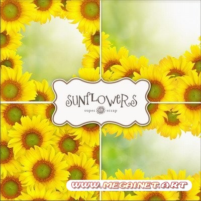 Красивые фоны для создания коллажей и рамок - Sunflowers