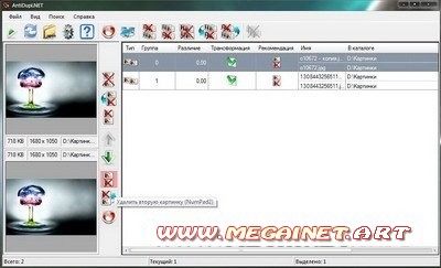 AntiDupl 1.8.5.379 ( 2011 / Rus )