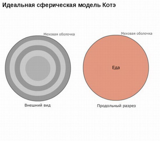 Юмор: Смешные графики