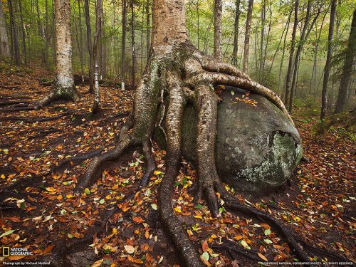 National Geographic: лучшие фотографии августа