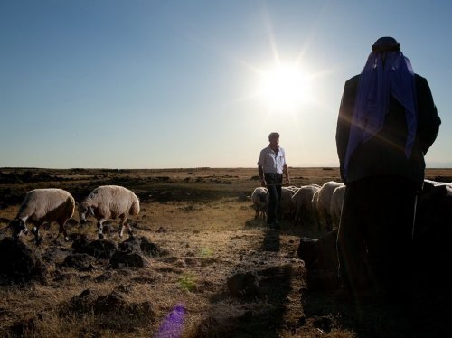 National Geographic: лучшие фотографии августа