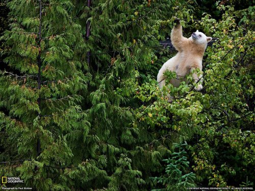 National Geographic: лучшие фотографии августа