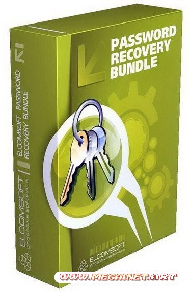 Password Recovery Bundle 2011 v1.70 ( 2011 )