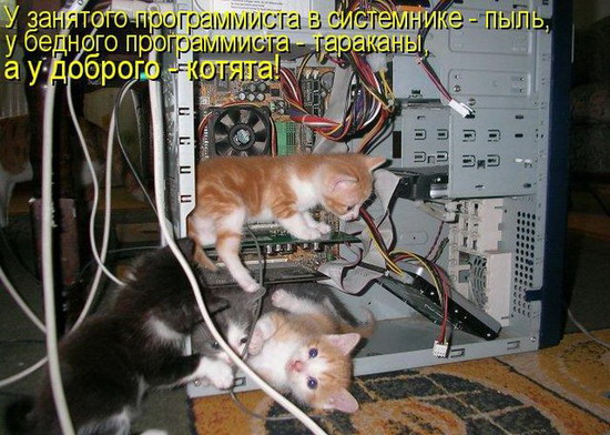 Юмор: Смешные котоматрицы