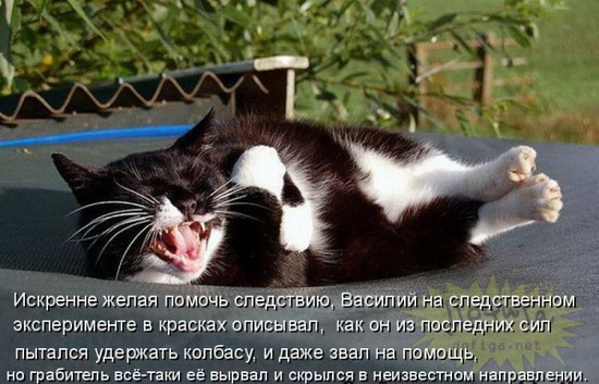 Юмор: Смешные котоматрицы