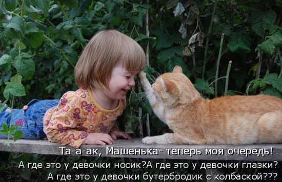 Юмор: Смешные котоматрицы