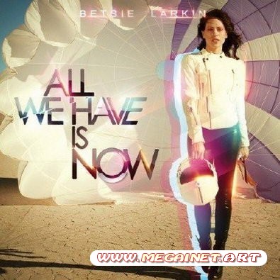 Betsie Larkin - All We Have Is Now ( 2011 )