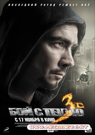 Бой с тенью 3D: Последний раунд ( 2011 ) DVDRip