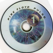 Pink Floyd - P.U.L.S.E ( 1994 / 2006 ) DVDRip-AVC