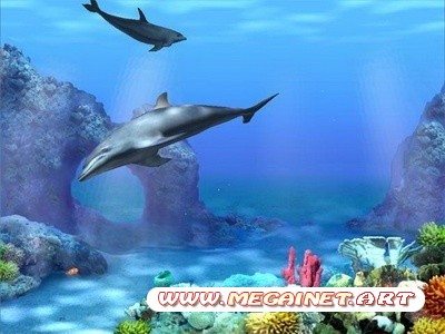 Скринсейвер - Dolphins 3D ( 2012 / Rus )