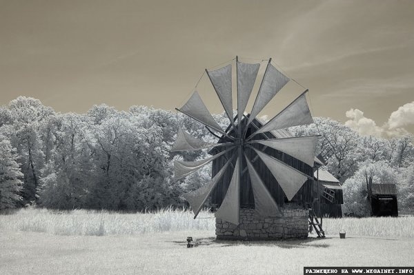 Увидеть невидимое: инфракрасная фотография