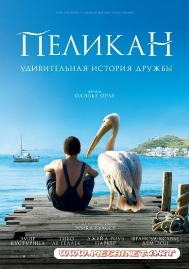 Пеликан ( 2011 / HDRip )