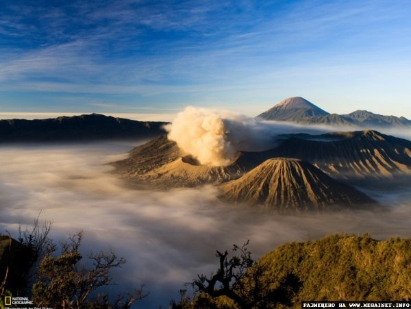 Лучшие фотографии недели от National Geographic