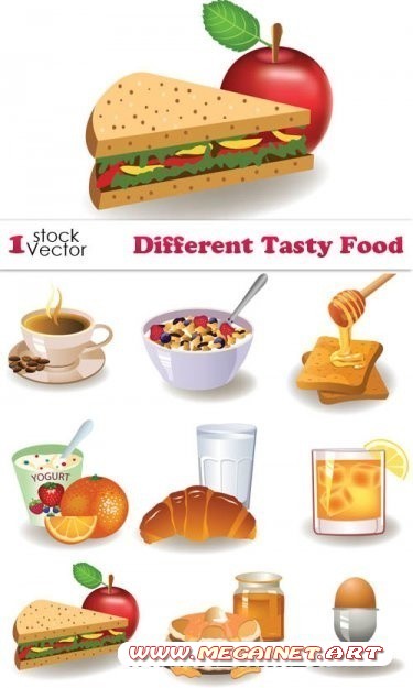 Different Tasty Food Vector