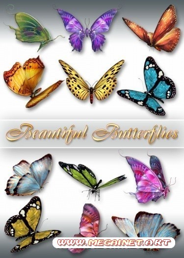 Клипарт PNG - Beautiful Butterflies