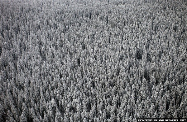 Фото Земли с небес